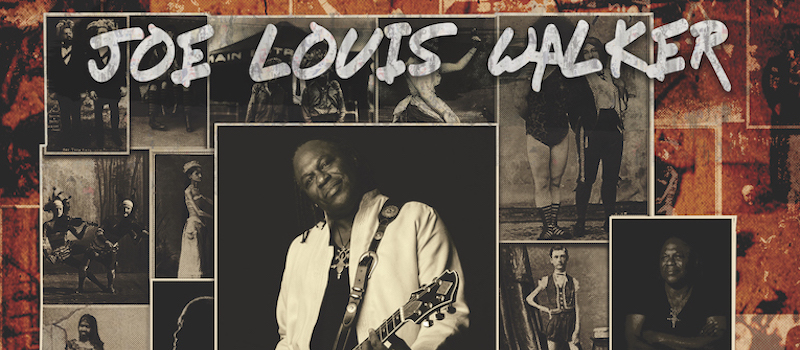 Joe Louis Walker