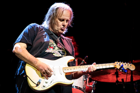 Walter Trout