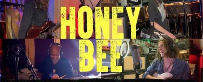 Larkin Poe Honey Bee image