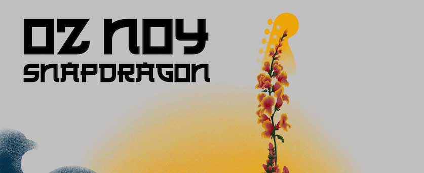 Oz Noy Snapdragon