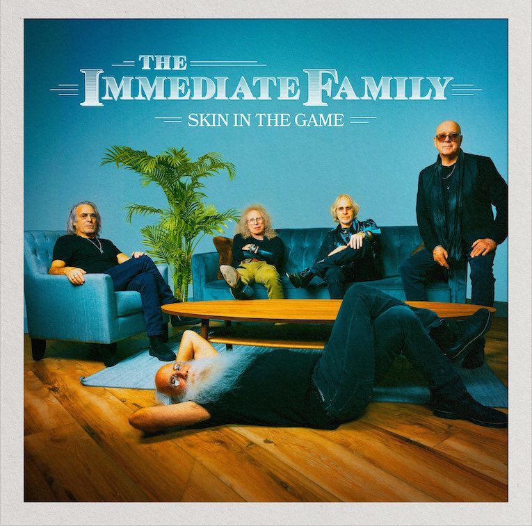 The Immediate Family, Skin In The Game, album cover front