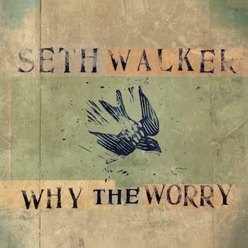 Seth Walker, Why The Worry, album cover